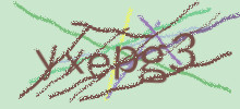 Проверочный код